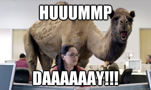 Hump Day!
